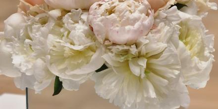 Elizabeth Marsh Floral Design